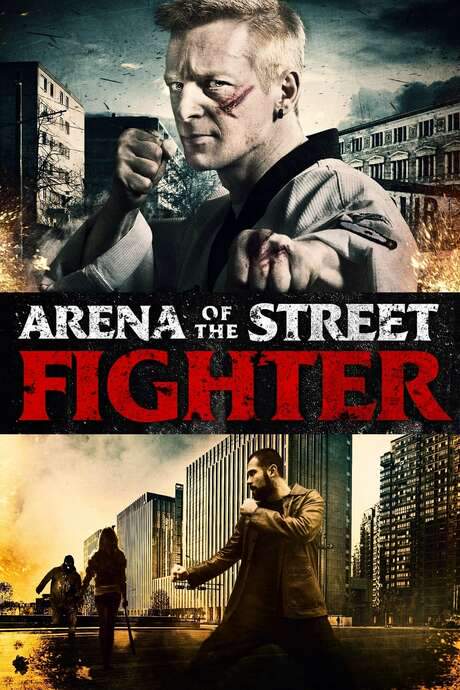 Arena of the Street Fighter